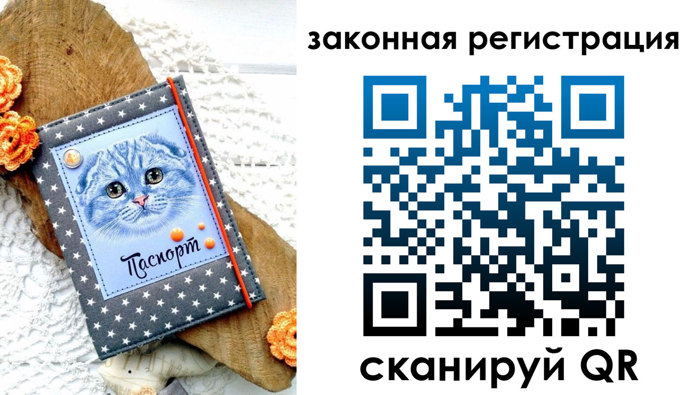 регистрация в Стародубе
